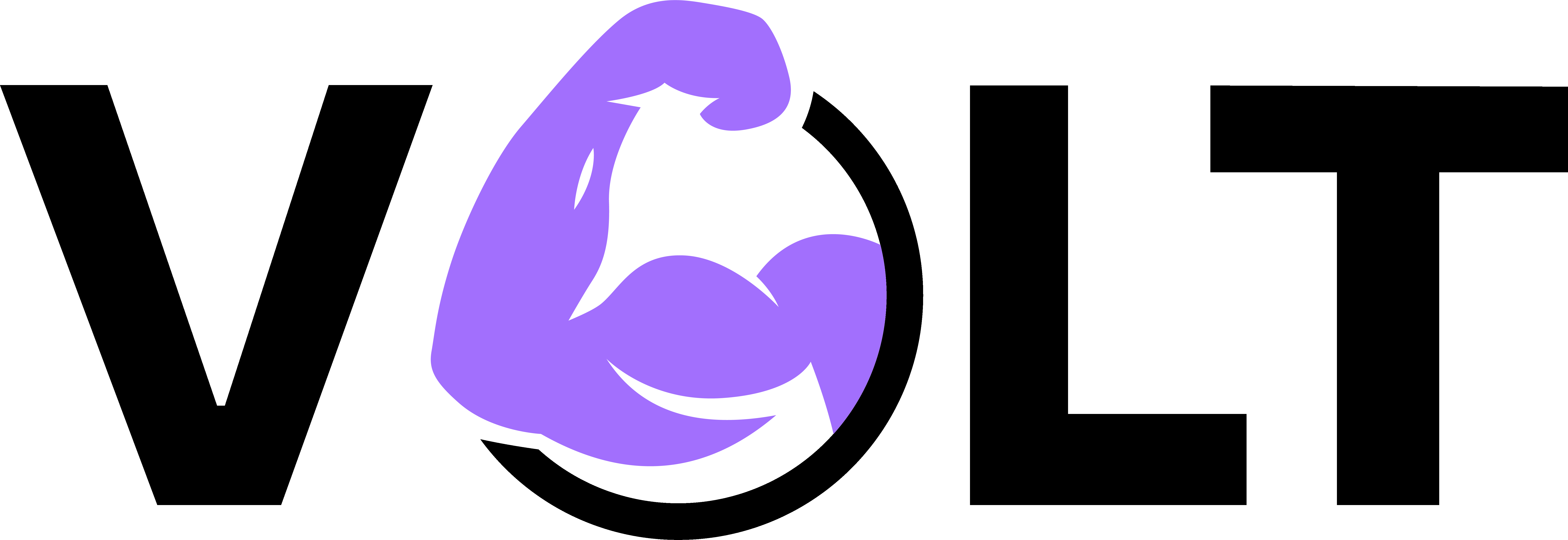 VOLT logo